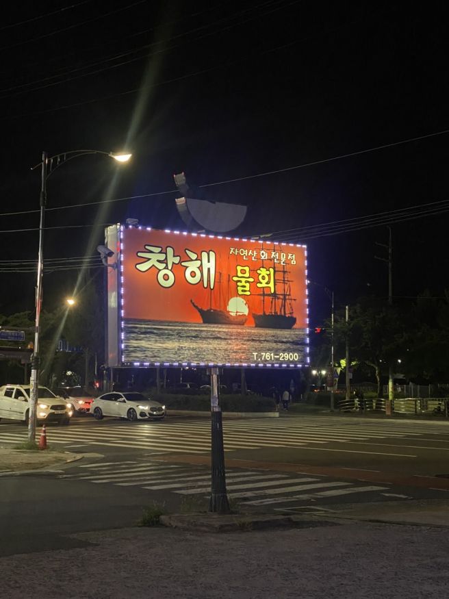 [현] 대구 수성구 들안길 장수음식점 창해물회 후기