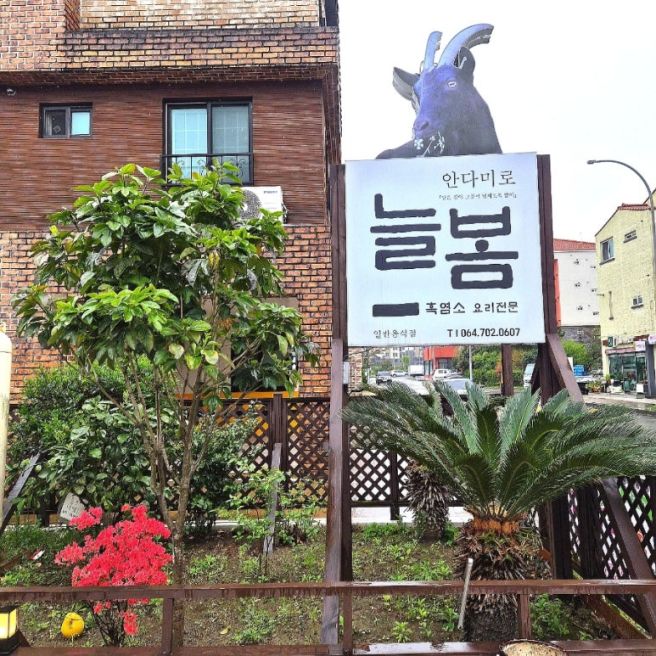 제주 흑염소 맛집 안다미로 늘봄 흑염소