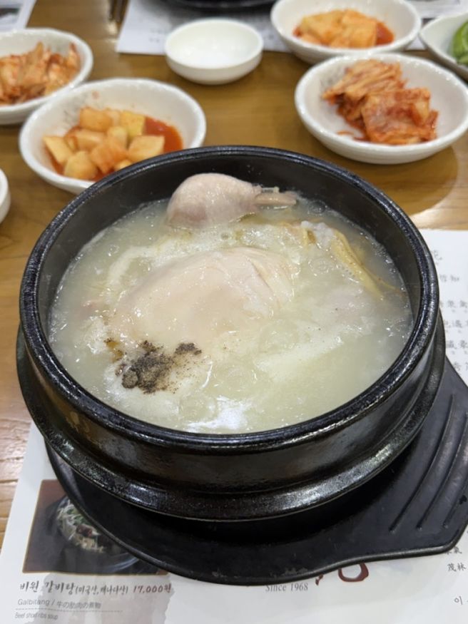 제주 비원 노형 삼계탕 제주도민의 솔직 후기