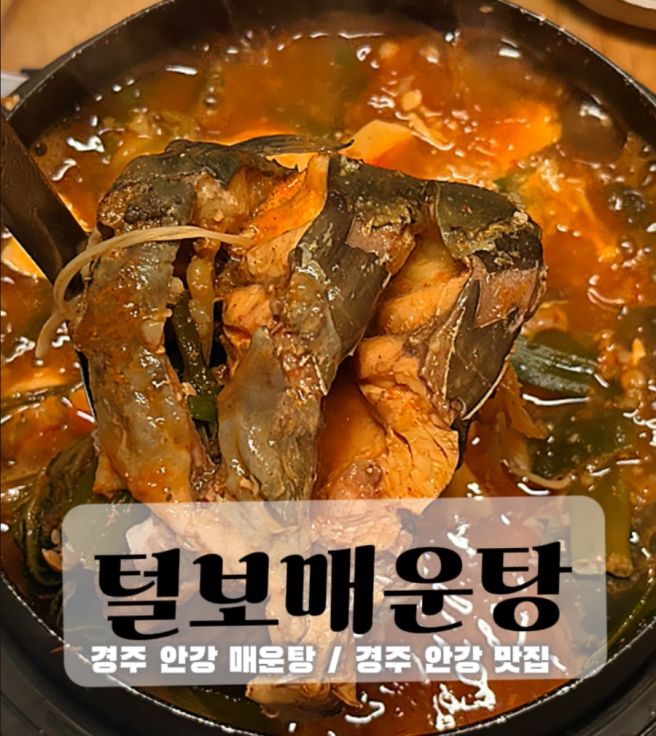경주 안강 맛집 털보매운탕 뚝배기매운탕 보양 제대로