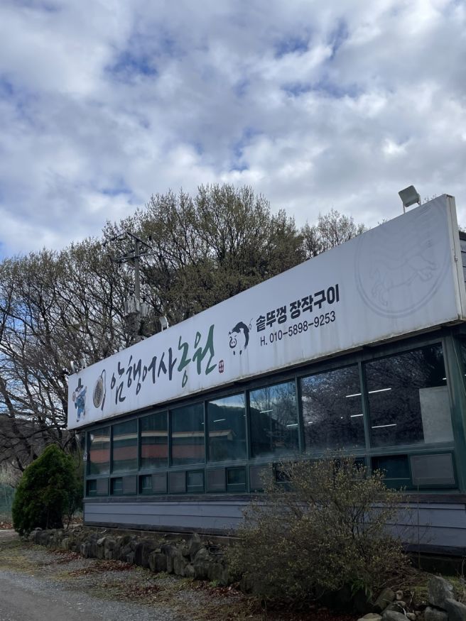 [경북 경주] 야장 바베큐 야외 고깃집 내돈내산 여기가 바로 무릉도원 지상낙원 경주 암행어사 농원