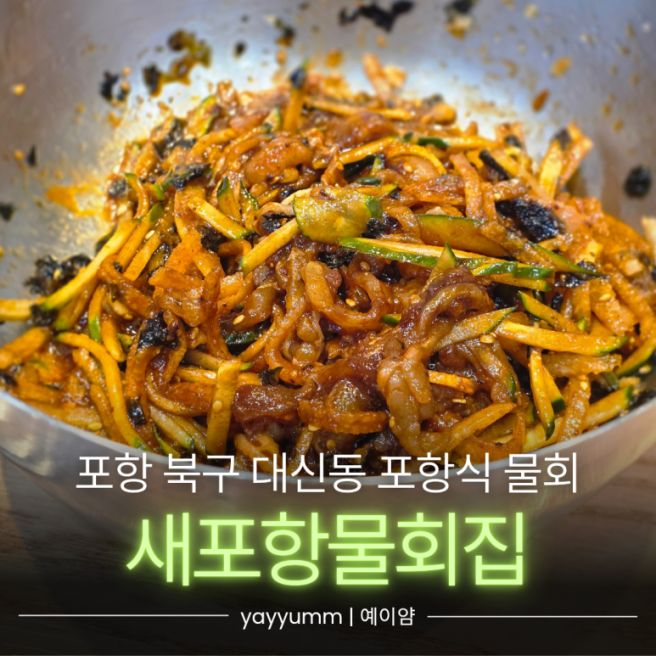 경북 포항 북구 대신동 "새포항물회집" 포항식 물회 맛집 (메뉴, 주차) | 내돈내산 | 여름휴가