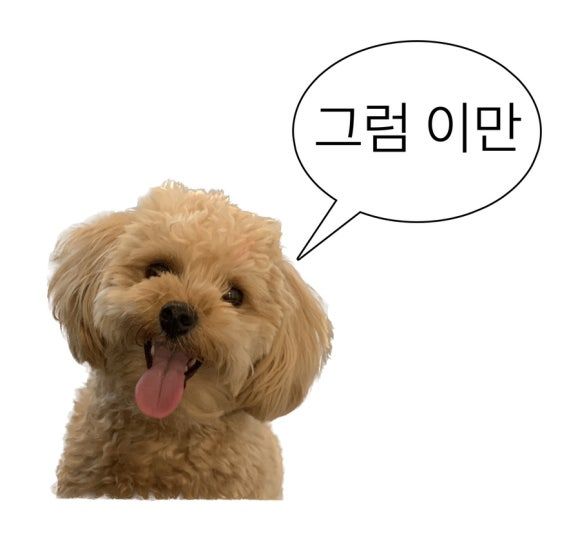 [평창 맛집] 강원도 평창 한상 가득 산채백반 건강 비빔밥 블루리본서베이, 식신 1스타 맛집 부일식당