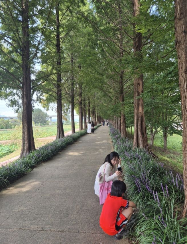 공주여행 아이와 가볼만한곳 코스 메타세콰이어길 삼계탕맛집 가을여행 추천 내돈내산 식당 주말나들이...