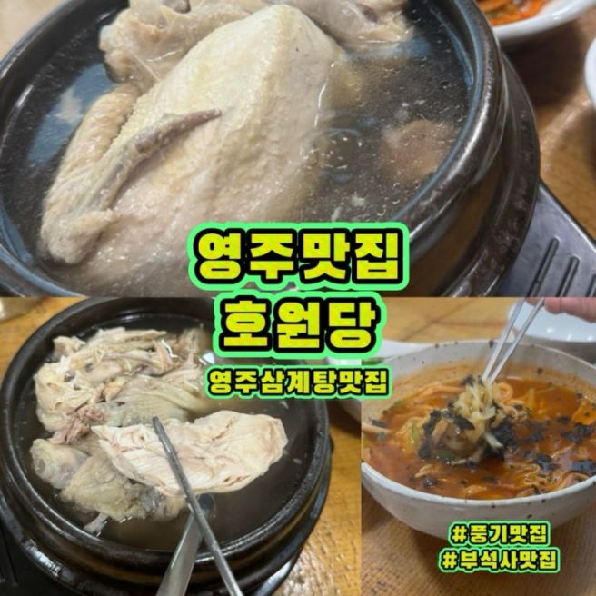 영주맛집 풍기맛집 호원당 부석사맛집 영주가볼만한곳 영주에서제일맛있는삼계탕집
