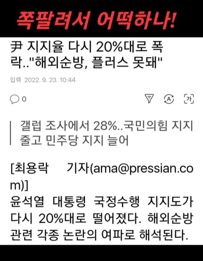 뷰어 이미지