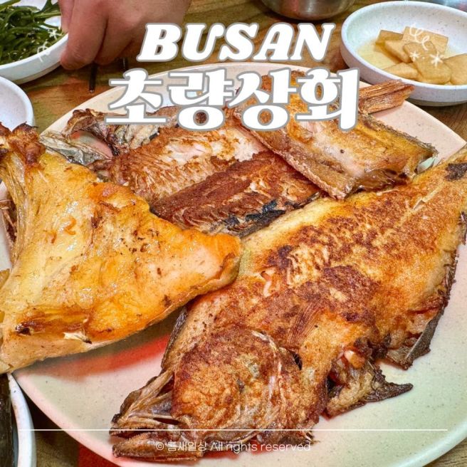 초량상회 부산 자갈치시장 맛집 남포동 생선구이 내돈내산
