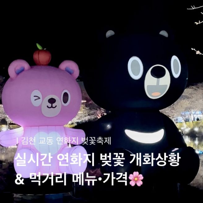 김천 연화지벚꽃축제 실시간 cctv 먹거리 전체 메뉴 및 가격