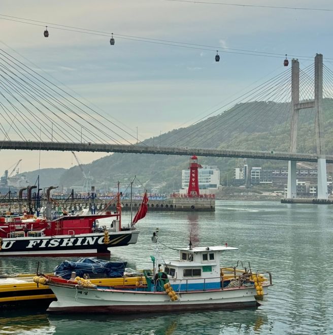 여수 오동도 근처 맛집 서대회무침 잘하는 삼학집