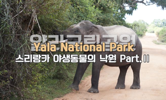 뷰어 이미지