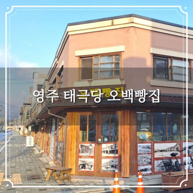 영주 태극당 선비골 오백빵집 노포빵집 빵지순례