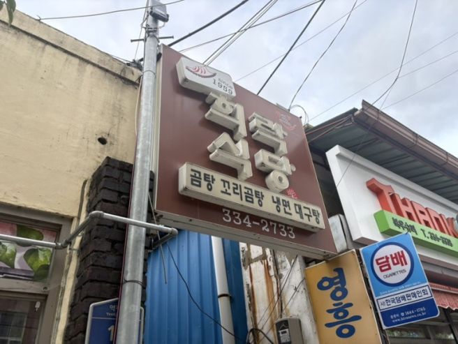 영천 곰탕 맛집 희락식당 어른들이랑 먹기 좋은 보양음식 추천