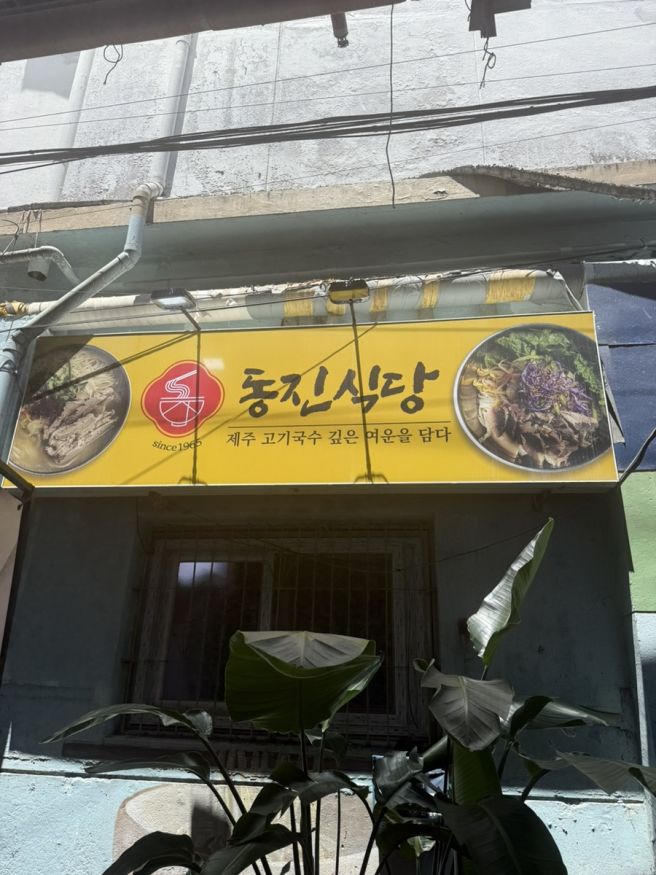 [제주한달살이] 고기국수 맛집 제주 동진식당 / 찍었다 하면 인생샷인 동굴 카페 비케이브까지 내돈내산...