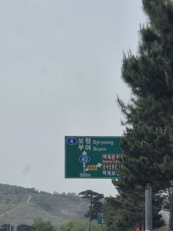 부여 당일치기 여행 코스 추천바리(feat. 우어회, 궁남지, 낙화암)