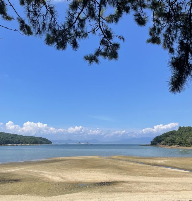 [전남 고흥] 녹동항 맛집 ‘안성장어나라’ 하모샤브샤브