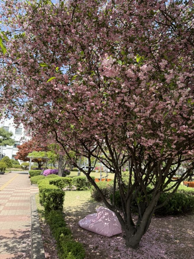 (서울/종로) 북촌 항아리에 담긴 삼청동수제비, 오픈런 웨이팅없이 입장 / 내돈내산