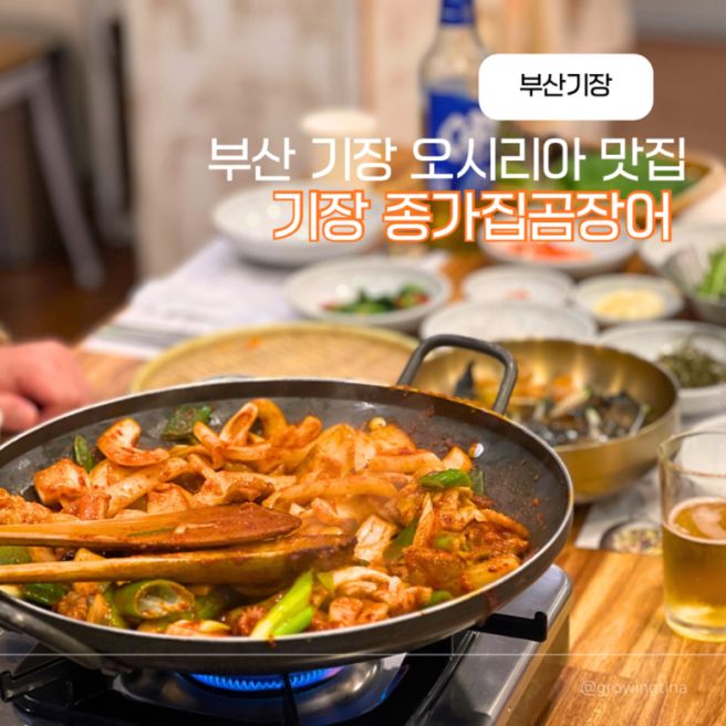 기장 마티에 오시리아 맛집 기장 종가집곰장어 가족외식