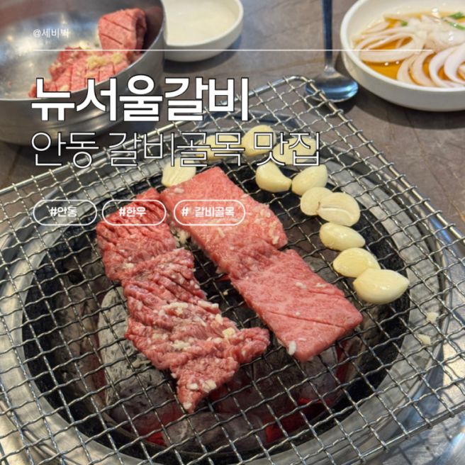 뉴서울갈비 안동갈비골목 한우갈비 맛집