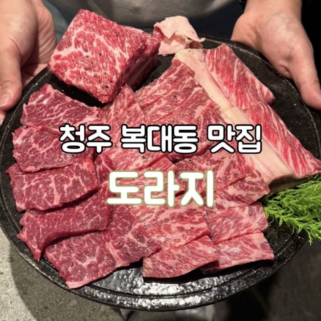[청주/복대동] 도라지｜전석 프라이빗 룸에서 즐기는 프리미엄 소고기 솔직후기