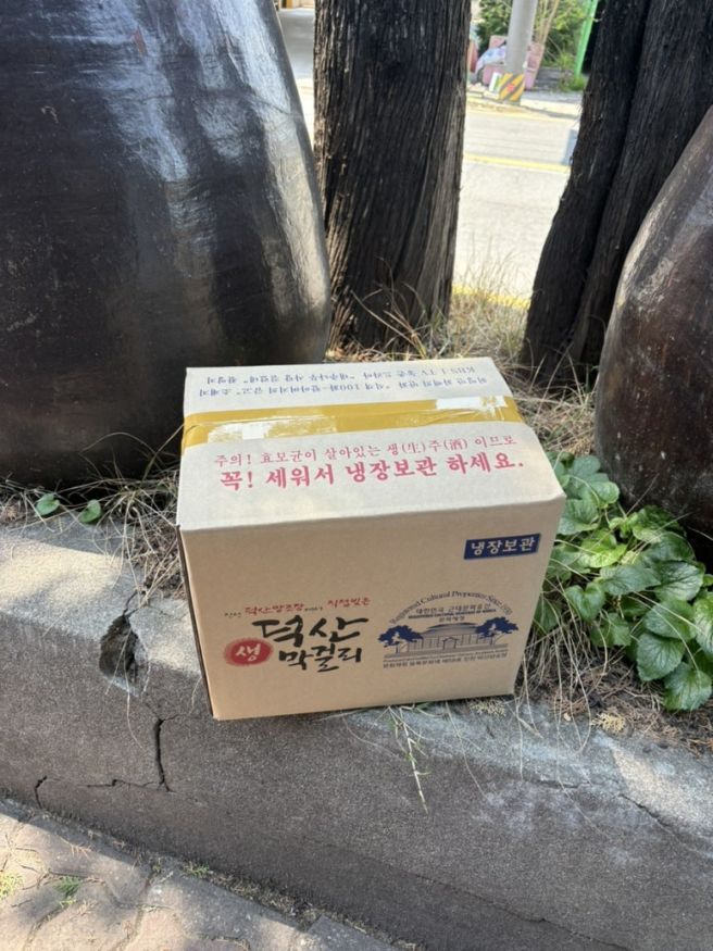 여행 (충북 진천/덕산양조장/농다리 축제/호수펜션/느티나무집/에코뮤 카페/국내여행지/내돈내산 후기)