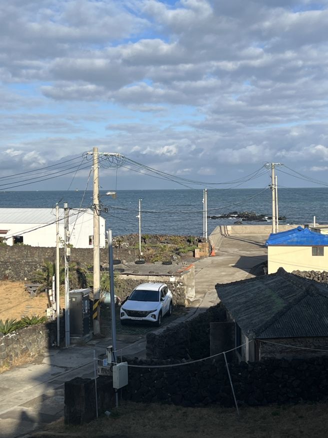 제주 - 무계획 여행(2)/서귀포 감귤 체험/킴스농장 귤창고/갈치조림 덕승식당/뮈르 카페/성이시돌목장🍊🐴☕️