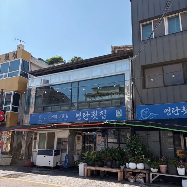 목포 여행 추천 맛집- 영란횟집, 전국구 민어회 성지 4인 민어 코스(주차, 내돈내산)