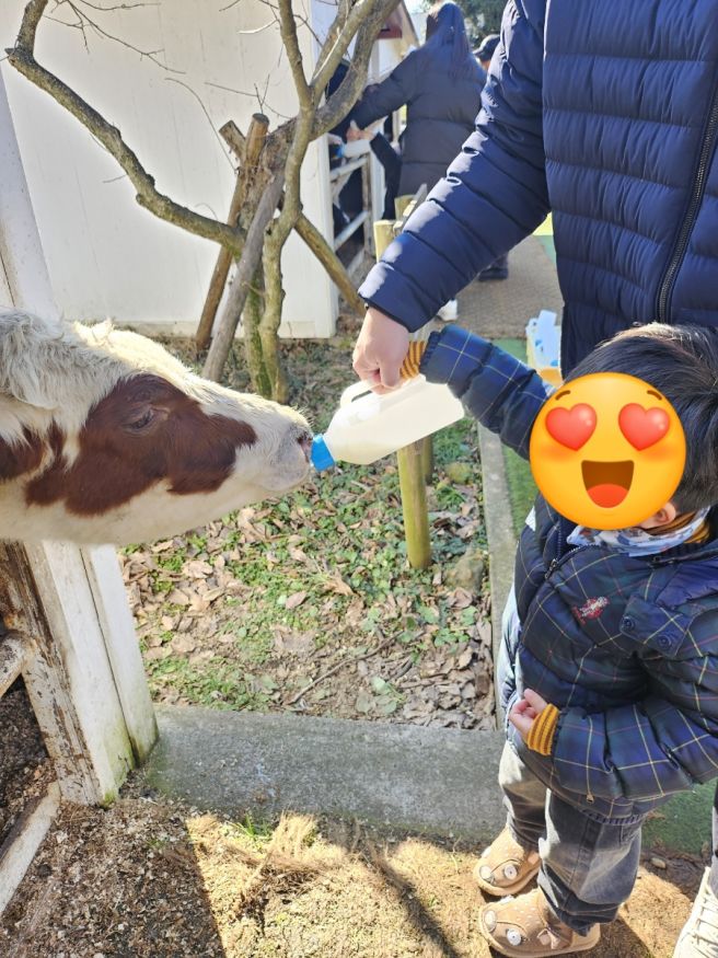 260109 아이랑 제주도여행 4일차 <낭뜰에쉼팡, 아침미소목장, 돌문화공원, 가스름식당>