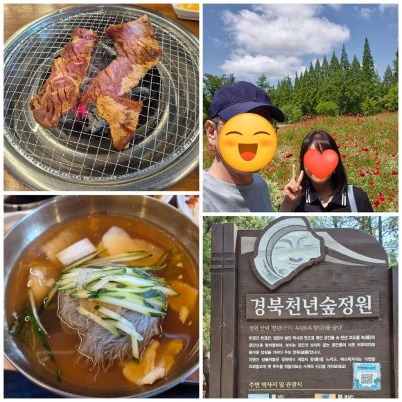 경주 경북천년숲정원 &amp; 평양갈비&amp;냉면