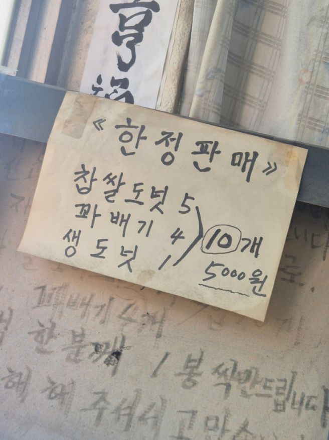 강원도 삼척 빵집 꽈배기 맛집 문화제과 후기