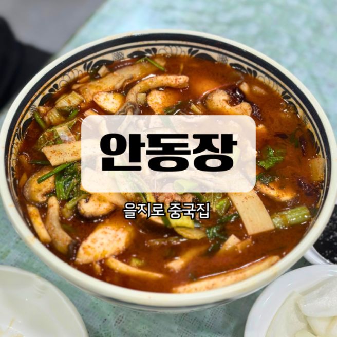 [중구/을지로] <안동장> 을지로3가 약 80년 전통 중국집 중화요리 내돈내산 후기
