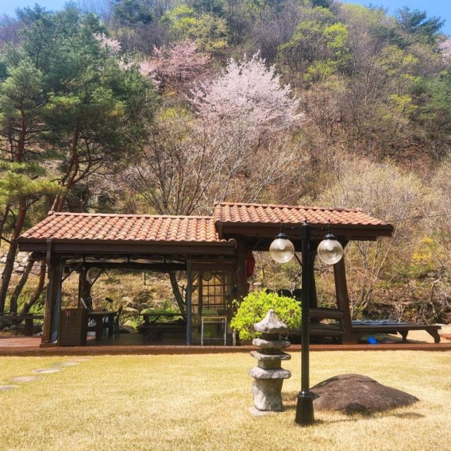 영주 독채 펜션 | 마당너른집에서 보내는 하루 코스