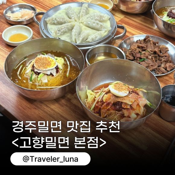 경주 밀면 맛집 백년가게 현지인 추천 고향밀면
