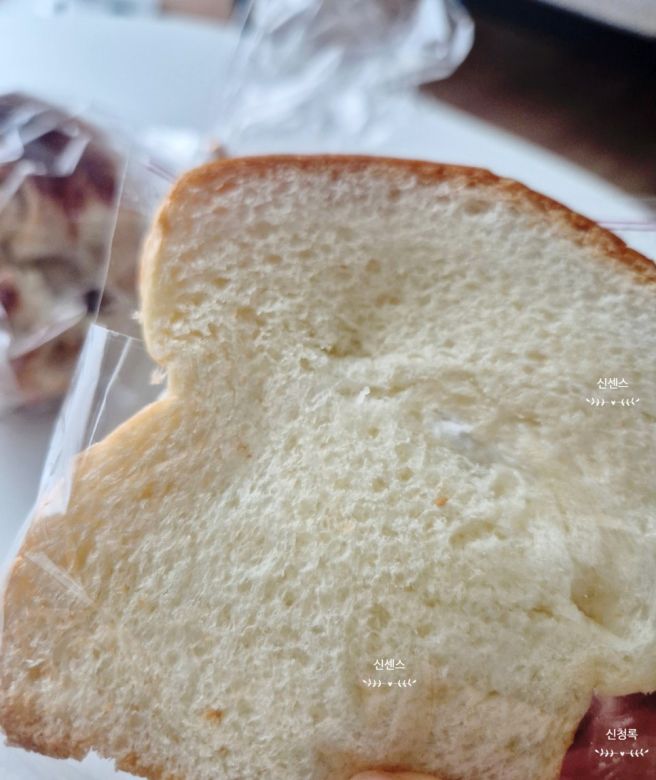 대원당 춘천 빵집 버터크림빵 취향 탈 맛