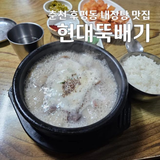 춘천 해장국 내장탕 맛집 후평동 현대뚝배기