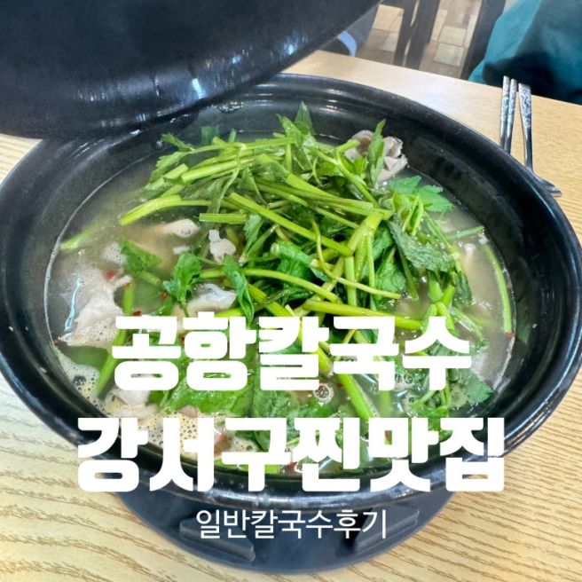 내돈내산) < 공항칼국수 >, 버섯칼국수, 일반칼국수아이랑, 강서구찐맛집
