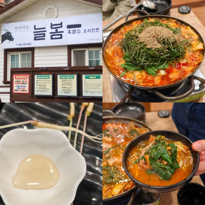 제주흑염소 맛집 안다미로 늘봄 흑염소 몸보신하고 온 후기!