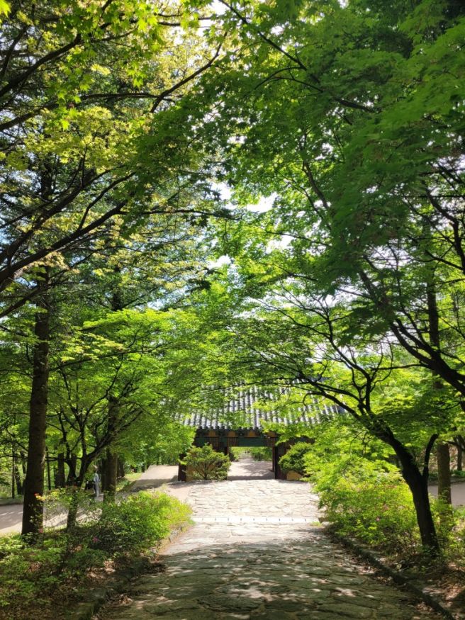 영주여행 유네스코 세계문화유산 부석사 속으로