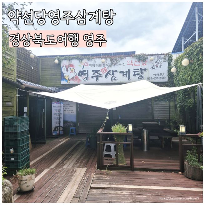 영주 선비촌 맛집 약선당영주삼계탕