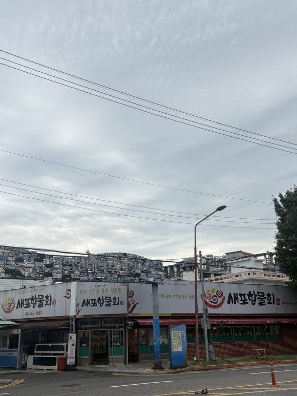 포항 최애물회맛집 고추장물회 원조맛집 내돈내산 '새포항물회'