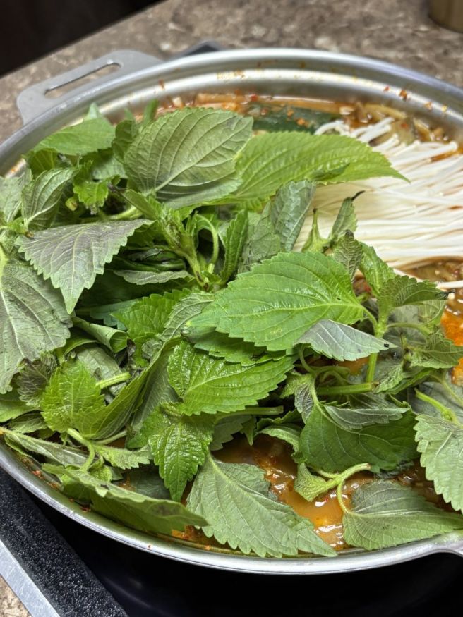 군위 효령매운탕 내돈내산 후기, 얼큰한 메기매운탕 맛집