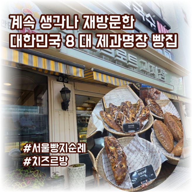 하나 더 안사와서 후회한 제과명장 빵집 재방문 후기! 서울 쌍문역 함스브로트 과자점 치즈르방 찐추천