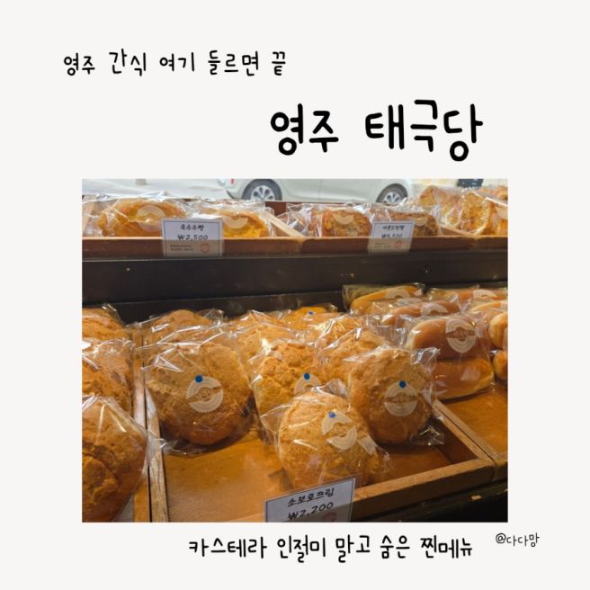 영주 태극당 빵집 후기｜영주 간식 추천 (나드리쫄면 코스, 아이랑 방문)