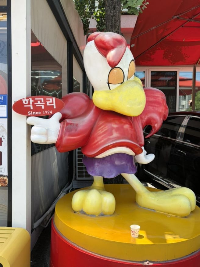 춘천 학곡리막국수닭갈비 풍자 또간집 1등 맛집 내돈내산 웨이팅 꿀팁