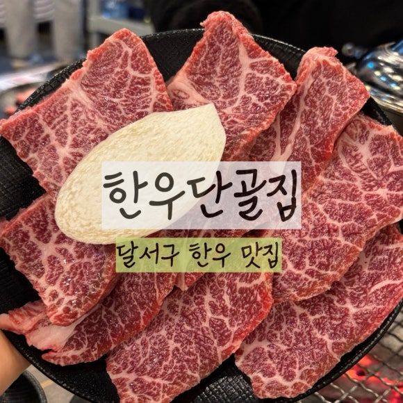 대구 한우단골집 진천점, 살살 녹는 한우맛집,내돈내산후기, 신월성한우집