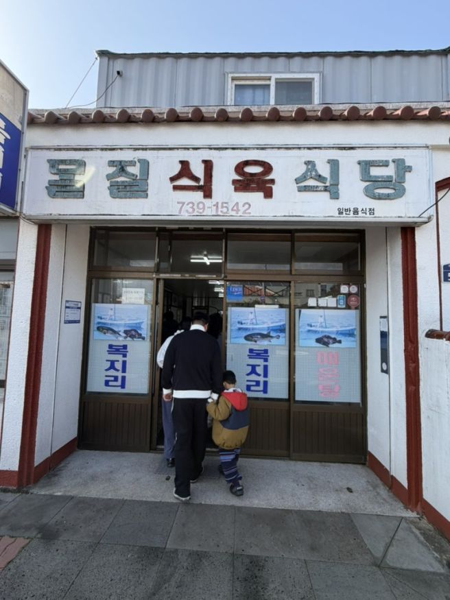 [제주] 제주도 2박3일 2일차 먹방일기 짬뽕맛집 몰질식육식당과 귤밭힐링 카페 귤꽃다락