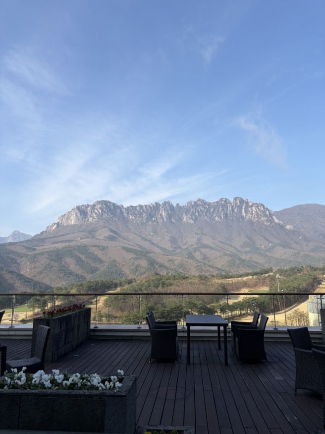 속초 여행 #2 소노캄 델피노, 조카 젠더리빌🐣, 속초어장물회, 점봉산산채, 속초중앙시장