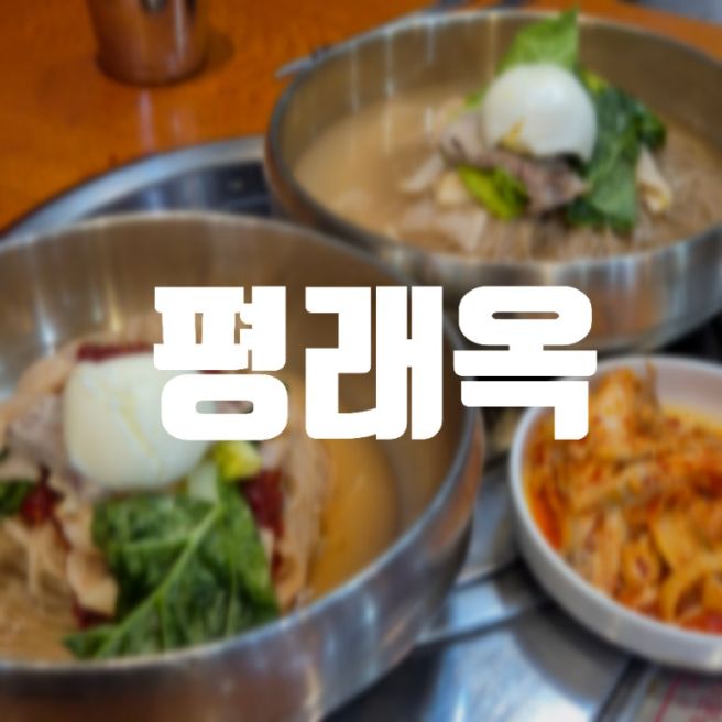 닭무침이 나오는 을지로3가 맛집 추천 평래옥
