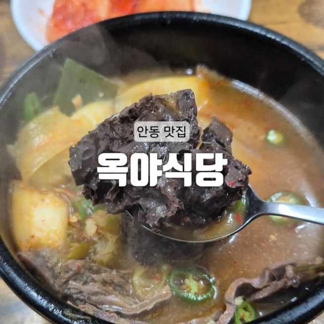 [안동] 줄불놀이 가기 전 딱 좋은 전현무계획 웨이팅 안동 현지인 맛집 : 옥야식당