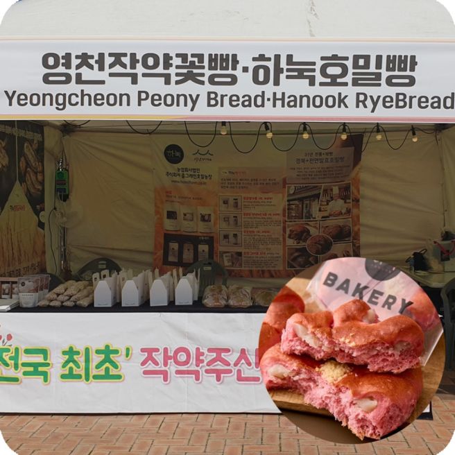 천년가게 하눅 베이커리, 2025년 APEC 정상회의 성공...신라난전 참여 소식_영천작약꽃빵🌸 천연발효호밀빵🥯