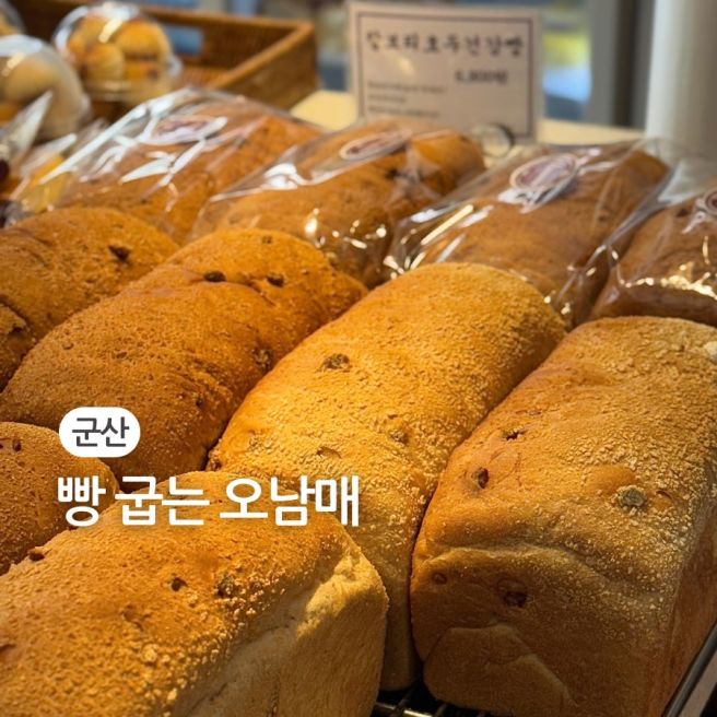 [군산] 찰보리빵 맛집｜빵 굽는 오남매 방문기｜군산여행 필수코스